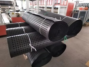 Planche de drainage <span class=keywords><strong>alvéolée</strong></span> en PEHD 20 mm x 10 mm <span class=keywords><strong>pour</strong></span> la construction de toits végétalisés - Product Image 6