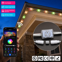 Lumières LED personnalisées à points lumineux, lumières de décoration de Noël, lumières changeantes de couleur, lumières permanentes, lumières de paysage de vacances, LED Pixel DC48V