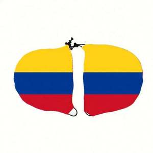 Fundas Personalizadas para Capó de Coche con Banderas de Estados Unidos, Fundas para Espejos Retrovisores con Banderas para Automóviles - Product Image 3