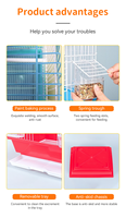 Vente en gros usine : Cages à oiseaux en métal, volières pour perruches, cages durables en fil de fer pour perroquets et canaris, cages à oiseaux à vendre