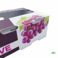 Boîte de transport pliable en plastique ondulé PP écologique pour fruits et légumes
