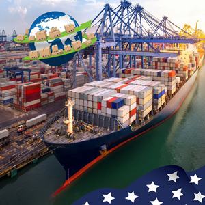 El mejor agente de envío de China, carga de contenedores, flete marítimo, tarifas de envío de China a Estados Unidos - Product Image 2