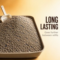 Litière pour chat en bentonite concassée, parfum lavande, granulés désodorisants, faible poussière, absorption rapide, jetable