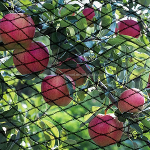 Filet <span class=keywords><strong>anti</strong></span>-oiseaux noir en HDPE résistant aux UV - Maille tricotée robuste pour la lutte contre les oiseaux dans les vignobles et vergers - Product Image 1