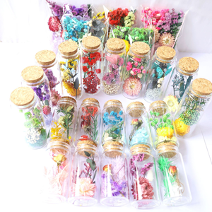 Souvenirs de mariage, fleurs réelles dans un bocal en verre, bouteille à vœux, mini tube à essai avec fleurs séchées <span class=keywords><strong>pour</strong></span> Diwali - Product Image 6