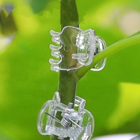Clips de Soutien pour Plantes, Clips pour Orchidées, Clips pour Fleurs et Vignes, pour Soutenir les Tiges, les Vignes, les Stiges, les Plantes Grimpantes, pour une Croissance Verticale