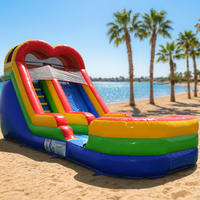 Toboggan aquatique gonflable personnalisé avec piscine, équipement de jeu extérieur, jeux aquatiques gonflables, toboggan aquatique pour la location