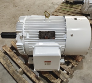 มอเตอร์ปั๊มน้ำมันแบบ 3 เฟส รุ่น Design D 405T 900RPM 60 รอบต่อนาที สำหรับบ่อน้ำมัน OWW608405T 60 มอเตอร์ OWW608405T - Product Image 2