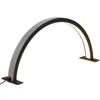 Lampe de bureau professionnelle demi-lune pour ongles, modèle diamant, anneau lumineux LED, contrôle tactile, intensité réglable pour salons de beauté, logo gratuit