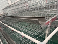 Cage à poules pondeuses de type A, équipement d'élevage multi-niveaux, fabricant de cages à poules pondeuses