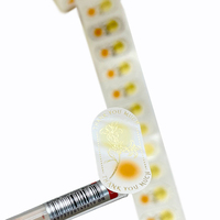 Étiquettes autocollantes adhésives en PVC personnalisables de qualité supérieure imprimées UV imperméables et durables pour l'emballage et l'image de marque de bouteille de vin
