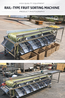 Fabriekslevering XINCHUAN XC-serie Volledig Automatische Multifunctionele Fruit- en Groente-Litchi Sorteermachine 220V/380V