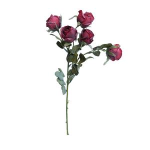 Flores rosas brancas - Product Image 1