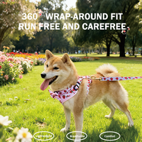 Ensemble de gilet pour chien personnalisé en maille respirante de qualité pour la course et la marche, motif floral, accessoires pour animaux de compagnie, collier, laisse et harnais personnalisés