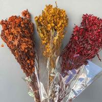 Fleurs de papillons naturels préservées pour le Nouvel An, en gros, pour arrangements de bouquets de mariage – Solution tout-en-un