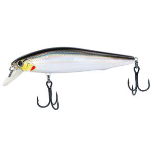 9cm 7g 11cm 13g Laser interne truite flottant ruisseau <span class=keywords><strong>Tricoroll</strong></span> Cana De Pescar poisson-chat méné <span class=keywords><strong>leurre</strong></span> dur appât leurres de pêche - Product Image 2