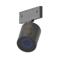 Sistem Lampu Rel Magnetik 20mm dengan Speaker Bluetooth, Konektivitas Nirkabel, Speaker Lampu Rel DC48V, Audio Rel Rumah Pintar