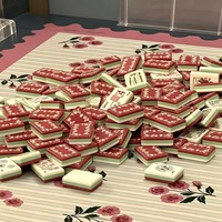   Boîte Etb, boîte officielle, grandes tuiles de Mahjong, grandes tuiles de Mahjong américaines, tuiles de Mahjong en acrylique de luxe, tuiles de Mahjong