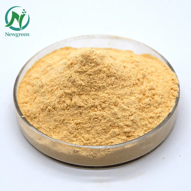 Wholesale Bulk Good Quality Food Grade Wheat Oligopeptides Powder