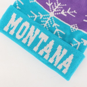 Wholesale Custom High Quality Unisex Acrylic Cap Dyed Woven Label Knitted Gorras Winter Ski Hat <strong>Pom</strong> <strong>Pom</strong> OEM <strong>Beanie</strong> - Product Image 4