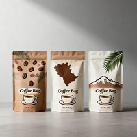 Sachet de café personnalisé de haute qualité, imprimé sur mesure, réutilisable, avec fermeture éclair, design personnalisé, sachet stand-up, sachet en Mylar