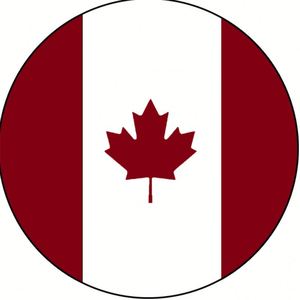 Insigne de bouton personnalisé avec logo Vente en gros d'usine Épingle de forme ronde Épingle de bouton Insigne avec épingle de sûreté Cadeau promotionnel - Product Image 2