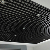 Faux Plafond Suspendu Grille Cellulaire Ouverte Métallique en Aluminium Linéaire, Baffle Acoustique Perforé, Panneau à Lattes 2x2 avec Profilé en T