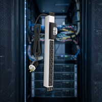 PDU compacte sur mesure AMP-038 à usage industriel, 10 prises 16A 250VAC 50/60Hz, équipement de distribution pour espaces de travail organisés