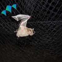 Filet anti-oiseaux en nylon 5*-20m avec des trous de 1,5*1,5cm, filet de capture d'oiseaux 3mx15m, filet anti-chauves-souris, filet de chasse aux oiseaux en plastique pour le marché saoudien