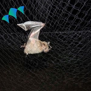 5 *-20 मीटर नायलॉन पक्षी धुंध के साथ 1.5*1.5 सेमी छेद 3 मीटर x 15 मीटर पक्षी कैचर बल्ले नेट प्लास्टिक पक्षी का शिकार - Product Image 4