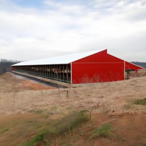 Capannone per allevamento di pollame struttura prefabbricata in acciaio per costruzione casa struttura in acciaio per mucca di pollo - Product Image 1