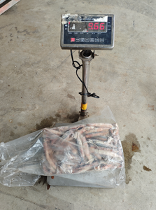 Eksportir Makanan Laut Cumi-cumi Liar Beku 50-100g