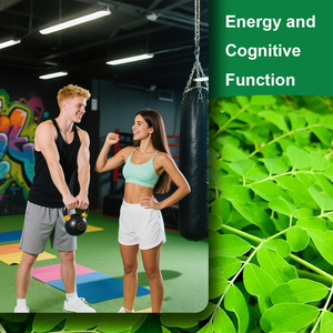 קפסולות עלי מורינגה של OLLI OEM, תוסף תזונה לבריאות העור והמעיים, עם תמיכה אנרגטית נוגדת חמצון, חיזוק מערכת החיסון, בטוח. - Product Image 6