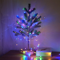 Bande lumineuse LED en fil de cuivre, boîte à piles USB, étanche IP44, télécommande, guirlande lumineuse décorative multicolore pour Noël