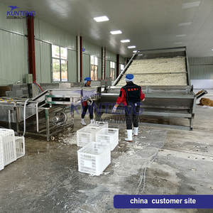 Essiccatore per Manioca ad Alta Produzione, Macchina Essiccatrice Continua a Nastro Trasportatore - Product Image 3