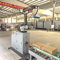 Robot Arm Palletizer Kolaboratif 30kg Payload untuk Mengambil dan Menempatkan Karton, Kantong, dan Botol di Lini Pengemasan Gudang