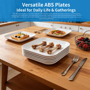 Assiettes carrées personnalisées pour fêtes, desserts, salades, collations, apéritifs, pour restaurant, pique-nique, camping - Product Image 6