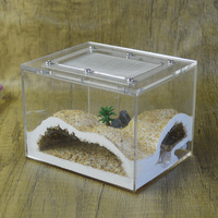 Mini fourmilière avec boîte d'alimentation en vers Produit pour animaux de compagnie pour enfants et adultes pour profiter de l'observation des nids de fourmis