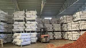 ISO certificato nuovo cile guajillo tavolo paprika baccelli con stelo - Product Image 6