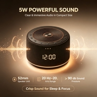 Haut-parleur à bruit blanc Bluetooth 5.4 portable, machine à sons pour le sommeil, carte TF, haut-parleur 5W, aide au sommeil, machine à sons relaxants, type C
