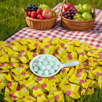 Bonbons en forme de boule sans sucre, aromatisés à la guave et à la menthe, pour une haleine fraîche de haute qualité, en sachets