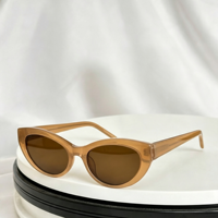 Petites lunettes de soleil carrées œil de chat, verres dégradés, protection UV, monture intégrale, beige blanc, PC, unisexe, tendance
