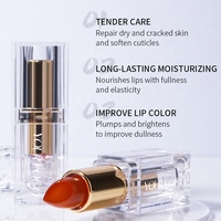 Lápiz Labial Mágico Mate Hidratante de Alta Calidad Profesional con Logotipo Personalizado al por Mayor, Cambia de Color Rojo, Impermeable, Vegano y de Larga Duración