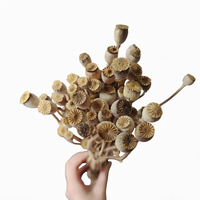 Bunga Hias Grosir, Bunga Poppy Kering Alami Asli, Buket Poppy Emas Perak Tahan Lama untuk Dekorasi Pernikahan dan Rumah DIY