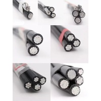 Câble Aérien en Aluminium XLPE JKLYJ 0.61kV 10-400mm2 Fabrication Professionnelle pour la Distribution d'Énergie Basse Tension