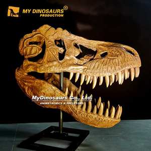 Z MY DINO <span class=keywords><strong>DS</strong></span>-106 <span class=keywords><strong>Simulation</strong></span> <span class=keywords><strong>de</strong></span> fossile <span class=keywords><strong>de</strong></span> dinosaure artificiel T-rex pour exposition muséale - Product Image 4