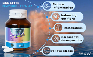 现货WXW品牌OEM天然药丸减肥补充剂绿咖啡豆提取物胶囊 - Product Image 6