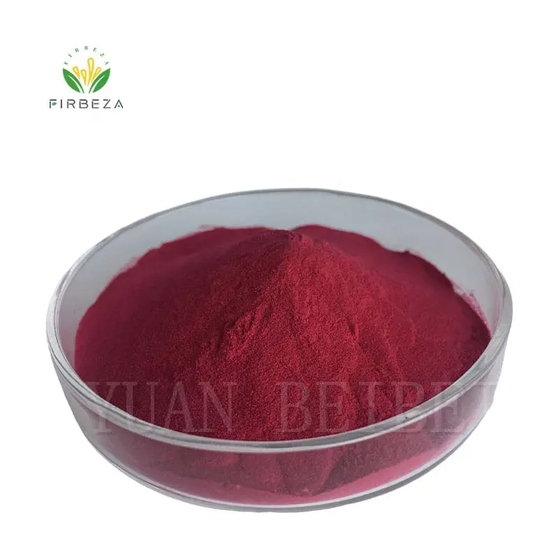 Bulk Natural Pigment Monascus Red Best Price Food Additive E100 Monascus Red Powder