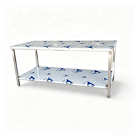 Étagère de rangement de cuisine commerciale en acier inoxydable à 2 niveaux, table de préparation alimentaire robuste pour restaurant, hôtel