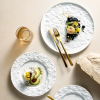 Rock Dish Chef INS 2023 Vaisselle d'hôtel, Fournitures de restaurant, Ensemble d'assiettes en grès pour dîner, Assiettes et plats
